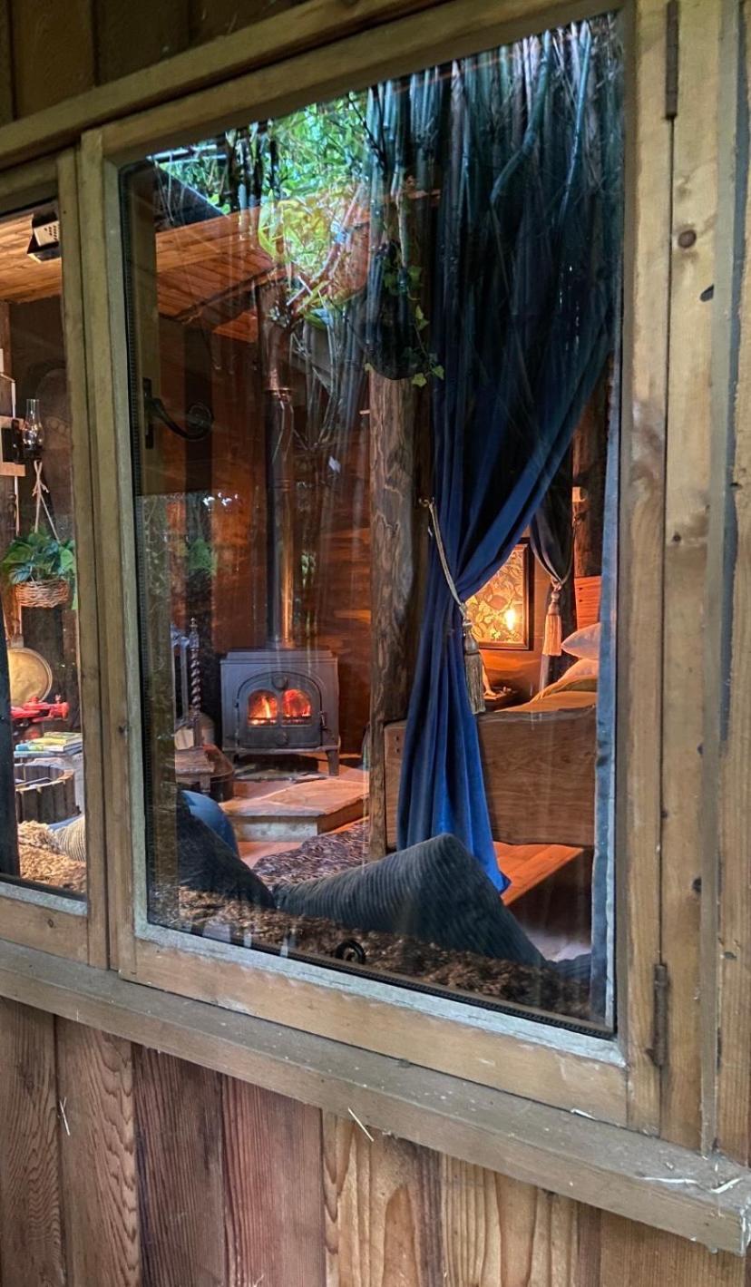 Jungle Cabin Martin Mill Exterior photo